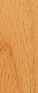 Beech